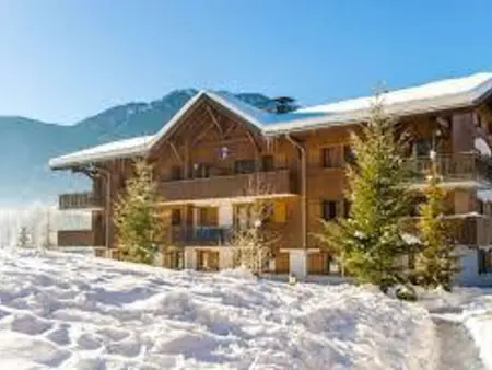 Appartement calme à Samoëns avec piscine et WiFi - Photo 14