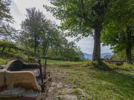 I 3 Faggi, Maison 7 personnes à Pistoia - Photo 25