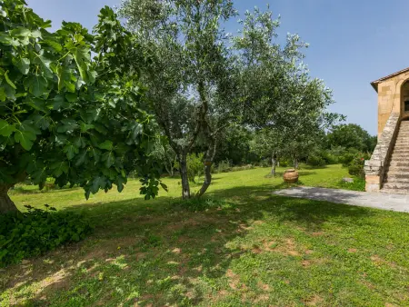 Il Piccione, Maison 20 personnes à Pitigliano - Photo 86