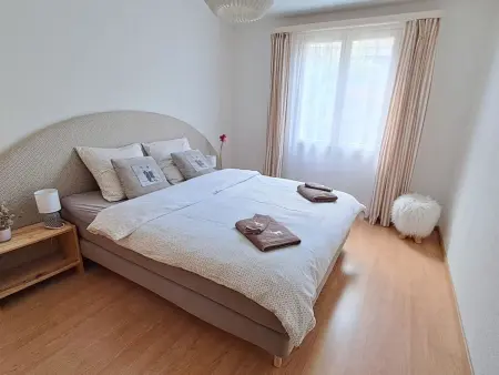 Bergluft, Appartement 6 personnes à Zweisimmen - Photo 14