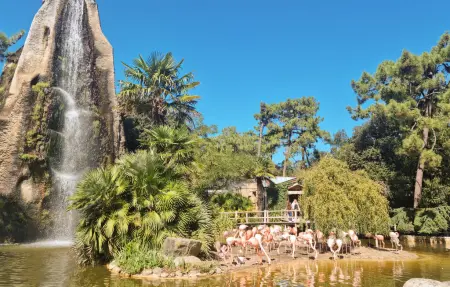 Maison 4 personnes à Saint Martin de Ré - Photo 41