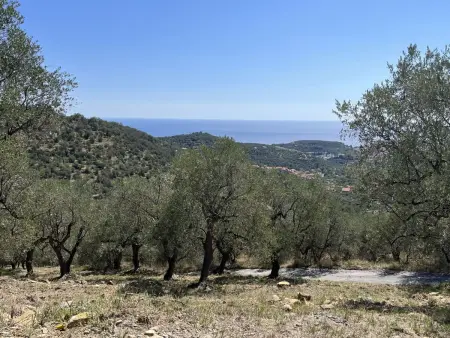 Villa Antica Pineta, Villa 10 personnes à Imperia - Photo 24