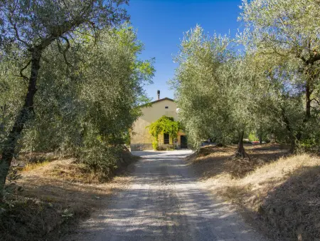 Merlot, Maison 4 personnes à Peccioli - Photo 34