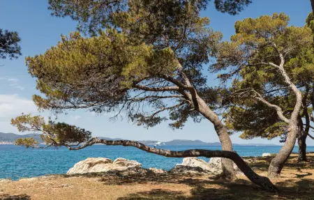 Villa Tereza, Maison 8 personnes à Zadar - Photo 17