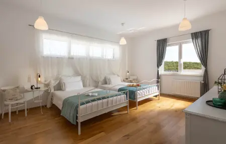 Villa Anica, Maison 8 personnes à Debeljak - Photo 7