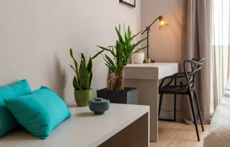 Villa Scallop, Maison 12 personnes à Benkovac - Photo 33