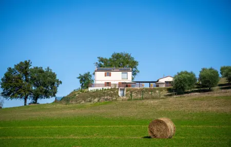 Nel Verde di Ludo, Maison 6 personnes à Mogliano - Photo 5