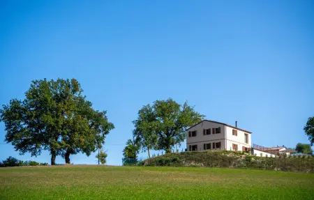 Nel Verde di Ludo, Maison 6 personnes à Mogliano - Photo 16
