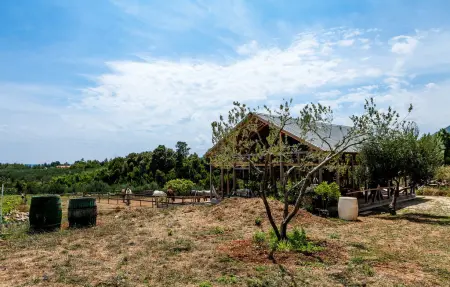 Villa Estate de Nature, Maison 14 personnes à Orebic - Photo 23