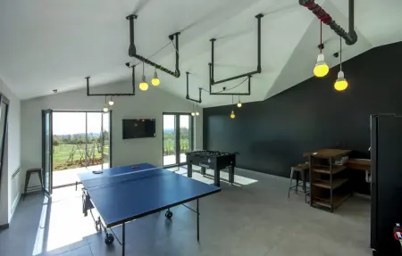 Villa Bianca, Maison 11 personnes à Svetvincenat - Photo 29