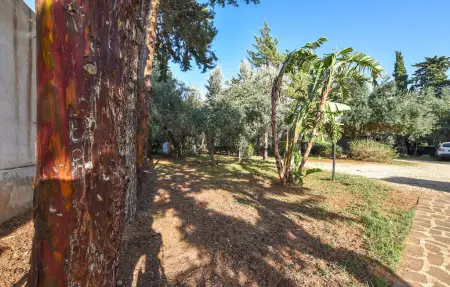 Baglio Cuttaia, Maison 5 personnes à Carini - Photo 11