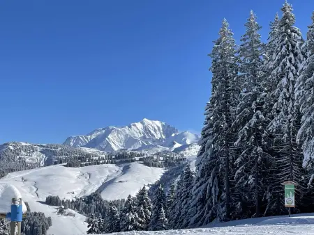Chalet spacieux 8 pièces, 14 personnes, prés des pistes, parking - Photo 9