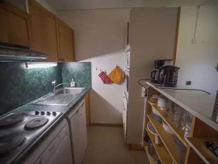 Appartement lumineux 2 pièces à Crève Coeur, proche pistes et commerces - Photo 2