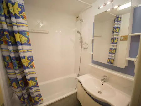 Appartement lumineux 2 pièces à Crève Coeur, proche pistes et commerces - Photo 3