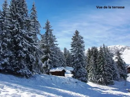 Appartement lumineux 2 pièces à Crève Coeur, proche pistes et commerces - Photo 7