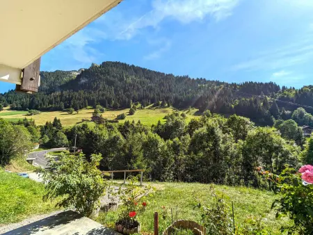 Appartement 6 pers, proche pistes, terrasse et parking inclus à La Clusaz - Photo 11