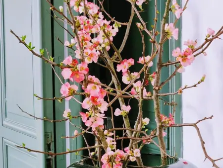 Grande Maison Bourgeoise avec Cour Privative, 5 Chambres, WiFi, Proche Commerces et Nature - Photo 33