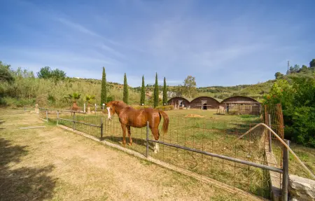 Casale del Golfo, Maison 30 personnes à Alcamo - Photo 7