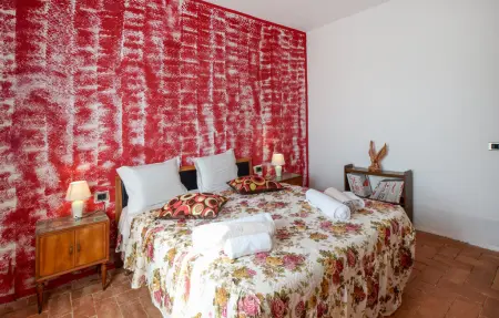 Maison 8 personnes à Santa Luce - Photo 30