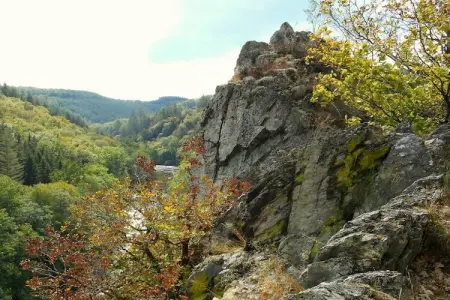 Les 5 Ourthes, Gîte de charme avec piscine à Houffalize - Photo 35