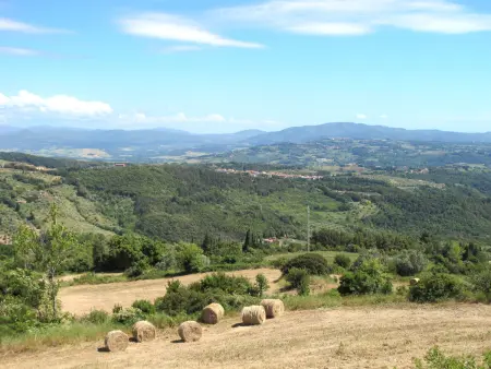 Il Felciaione, Appartement 4 personnes à Riparbella - Photo 33