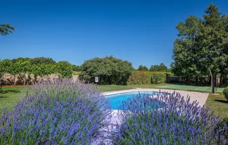 Villa Branko Istria, Maison 8 personnes à Svetvincenat - Photo 7