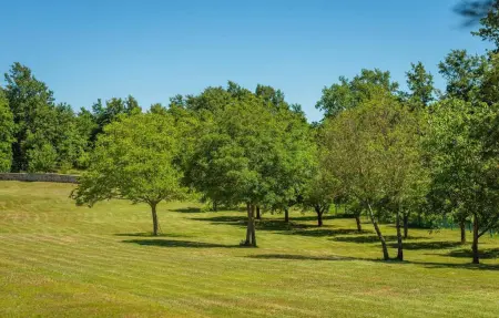 Villa Branko Istria, Maison 8 personnes à Svetvincenat - Photo 23