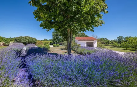 Villa Branko Istria, Maison 8 personnes à Svetvincenat - Photo 24