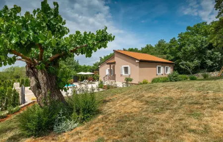 Villa Pepa Butori, Maison 4 personnes à Tinjan - Photo 24