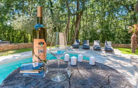 Villa Anneliese, Maison 6 personnes à Tinjan - Photo 21