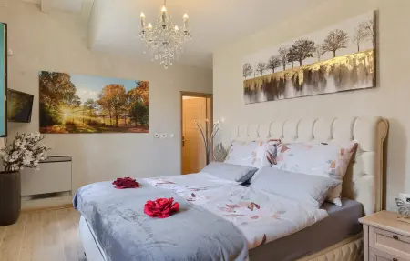 Villa Jakob, Maison 9 personnes à Tinjan - Photo 44