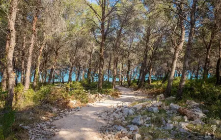 Villa Konstanca, Maison 9 personnes à Sibenik - Photo 55