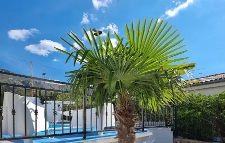 Villa Zlatica, Maison 6 personnes à Crikvenica - Photo 12