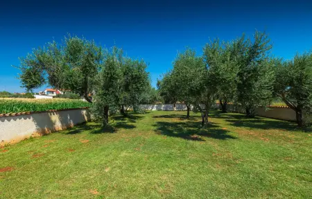 Villa Pomer, Maison 10 personnes à Pula - Photo 16