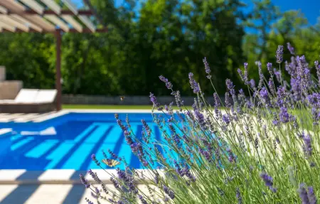 Villa Funcici, Maison 10 personnes à Pazin - Photo 10