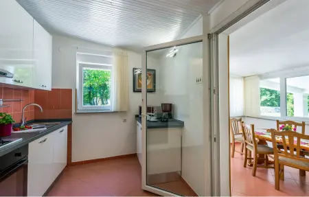 Villa Darko, Maison 6 personnes à Svetvincenat - Photo 30