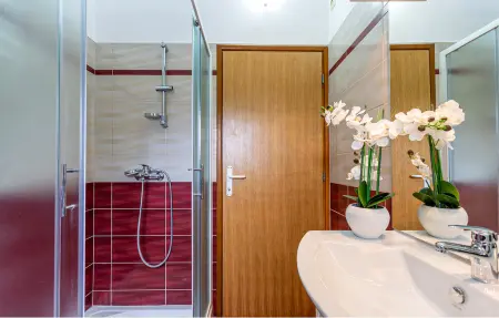 Villa Darko, Maison 6 personnes à Svetvincenat - Photo 43