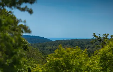 Villa Lucas, Maison 8 personnes à Marcana - Photo 23