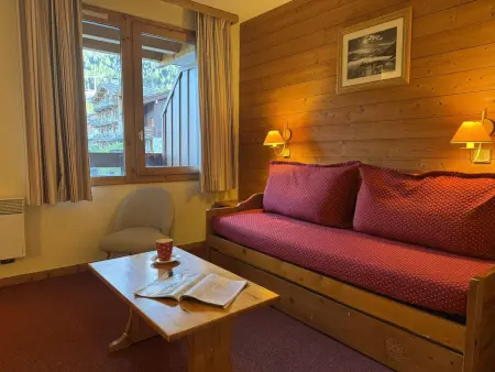 Studio confortable pour 4 pers. à 3 min des pistes, classé 2 étoiles, animaux admis, TV, cuisine équipée - Photo 12