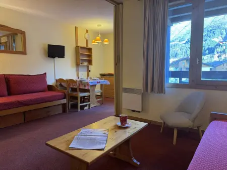 Studio confortable pour 4 pers. à 3 min des pistes, classé 2 étoiles, animaux admis, TV, cuisine équipée - Photo 13