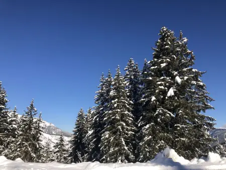 Superbe 2 pièces au pied des pistes, hameau Crève-Coeur, balcon, proche commerces et ESF - Photo 10