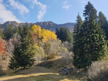 Studio divisible rénové, 2 étoiles, proche pistes et commerces, balcon, animaux admis - Photo 9