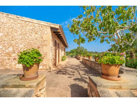 Los Geranios, Maison 6 personnes à Porreres - Photo 30