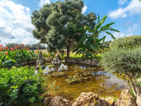 Es Garrigo de Son Mora, Maison 4 personnes à Porreres - Photo 32