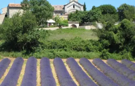 Maison 5 personnes à Barjac - Photo 40