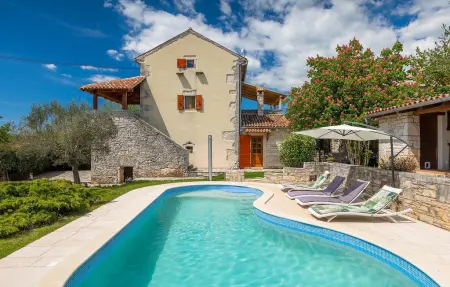 Villa Di Vino, Maison 8 personnes à Svetvincenat - Photo 1
