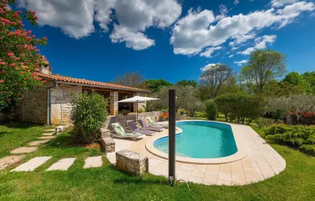 Villa Di Vino, Maison 8 personnes à Svetvincenat - Photo 11