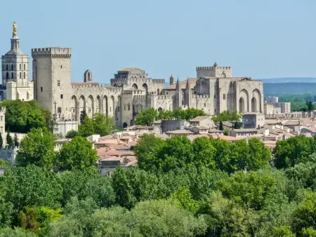 La petite Sorgues, Location climatisée dans une belle région viticole - Photo 15