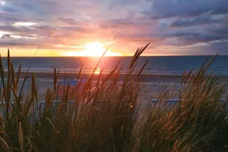 Monet 101 p, Appartement près des Dunes et Mer - Photo 27