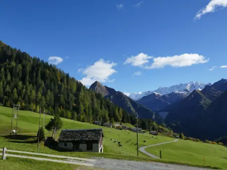 Rustico Orsaira, Maison 5 personnes à Campo Blenio - Photo 20
